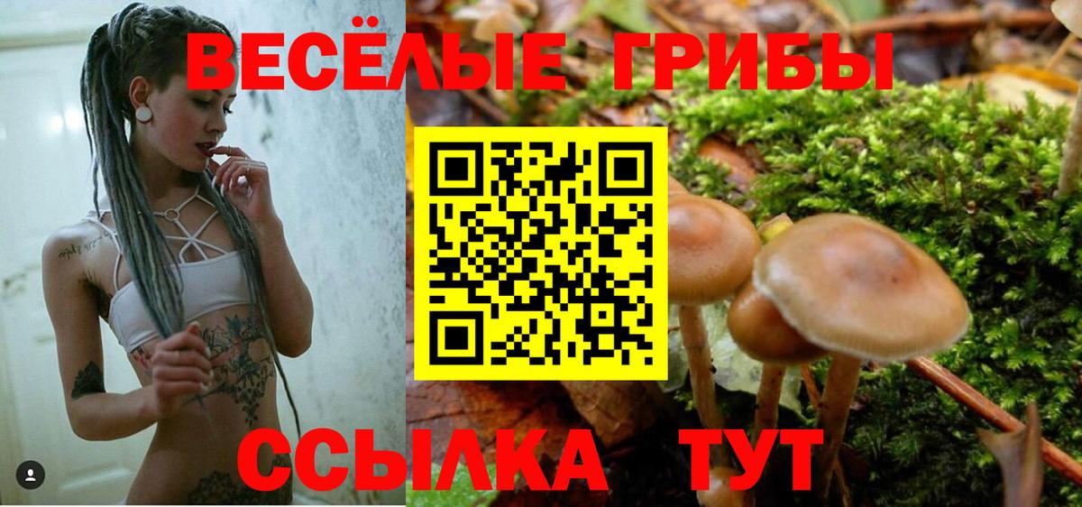 Псилоцибиновые грибы Psilocybe  Вход с VPN  Азов  Псилоцибиновые грибы мицелий 